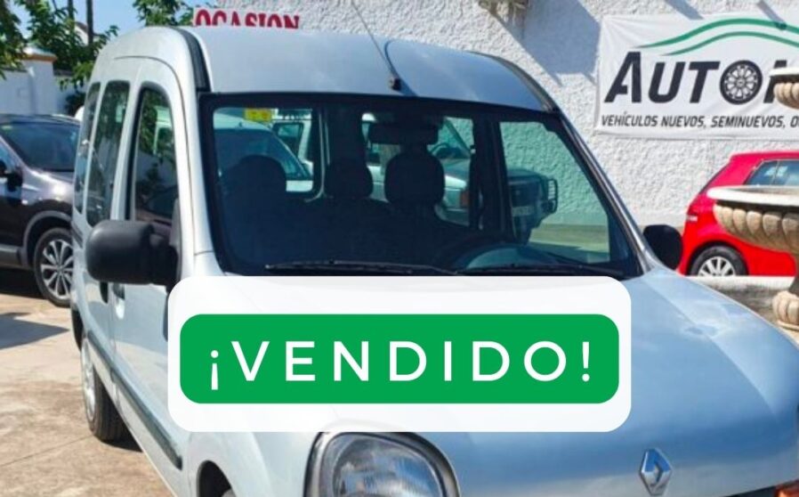 Kangoo Gris